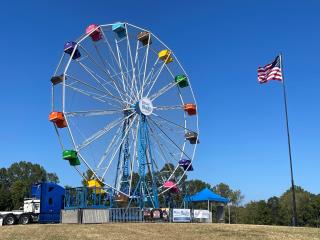 Ferris Wheel Fun